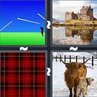 4 Pics 1 Word level 5-5 8 Letters