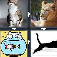 4 Pics 1 Word level 698 