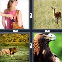 4 Pics 1 Word level 12-3 4 Letters