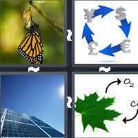 4 Pics 1 Word level 8-8 7 Letters