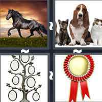 4 Pics 1 Word level 5-11 8 Letters