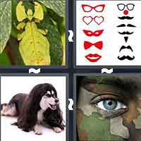 4 Pics 1 Word level 5-13 8 Letters