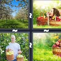 4 Pics 1 Word level 10-4 7 Letters