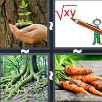 4 Pics 1 Word level 849 