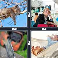 4 Pics 1 Word level 855 