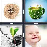 4 Pics 1 Word level 14-7 4 Letters