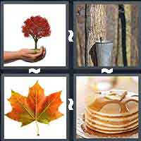 4 Pics 1 Word level 17-13 5 Letters