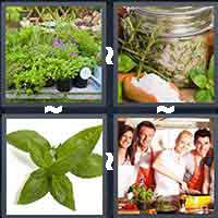 4 Pics 1 Word level 1022 