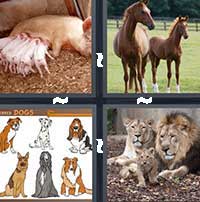 4 Pics 1 Word level 18-15 5 Letters