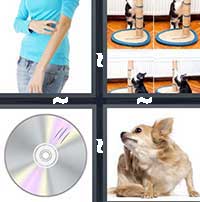 4 Pics 1 Word level 13-1 7 Letters