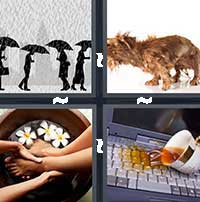 4 Pics 1 Word level 13-2 7 Letters