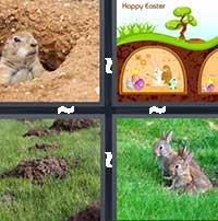 4 Pics 1 Word level 15-2 6 Letters