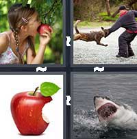 4 Pics 1 Word level 1151 
