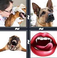 4 Pics 1 Word level 16-3 6 Letters