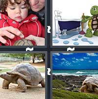 4 Pics 1 Word level 1177 