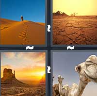 4 Pics 1 Word level 16-11 6 Letters