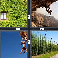 4 Pics 1 Word level 14-8 7 Letters
