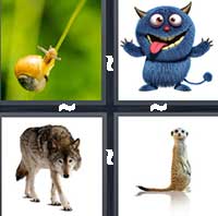 4 Pics 1 Word level 1217 