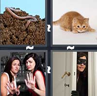 4 Pics 1 Word level 21-3 5 Letters
