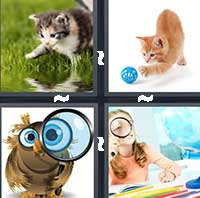 4 Pics 1 Word level 14-14 7 Letters