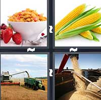 4 Pics 1 Word level 1226 