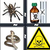 4 Pics 1 Word level 17-4 6 Letters