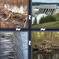 4 Pics 1 Word level 1244 