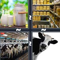 4 Pics 1 Word level 21-7 5 Letters