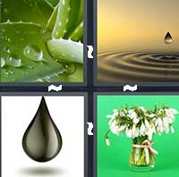 4 Pics 1 Word level 1257 