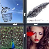 4 Pics 1 Word level 16-1 7 Letters
