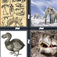 4 Pics 1 Word level 1289 