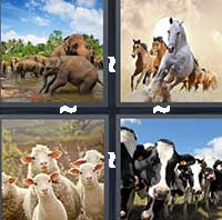 4 Pics 1 Word level 1304 