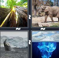 4 Pics 1 Word level 19-6 4 Letters