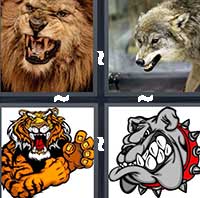 4 Pics 1 Word level 22-8 5 Letters