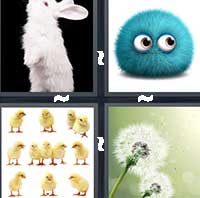 4 Pics 1 Word level 1337 