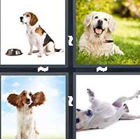 4 Pics 1 Word level 1358 
