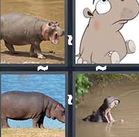 4 Pics 1 Word level 23-7 5 Letters