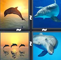 4 Pics 1 Word level 17-1 7 Letters