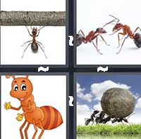 4 Pics 1 Word level 1367 