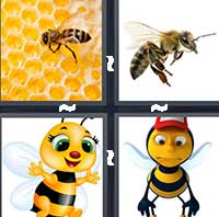 4 Pics 1 Word level 1368 