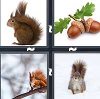 4 Pics 1 Word level 10-8 8 Letters