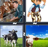 4 Pics 1 Word level 1370 