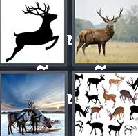 4 Pics 1 Word level 1371 
