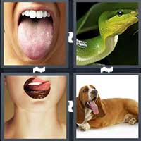 4 Pics 1 Word level 19-1 6 Letters