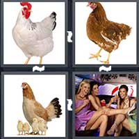 4 Pics 1 Word level 1404 