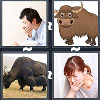 4 Pics 1 Word level 8-5 3 Letters