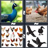 4 Pics 1 Word level 22-14 4 Letters
