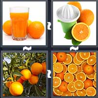 4 Pics 1 Word level 18-9 7 Letters