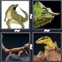 4 Pics 1 Word level 23-4 6 Letters