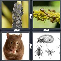4 Pics 1 Word level 1601 